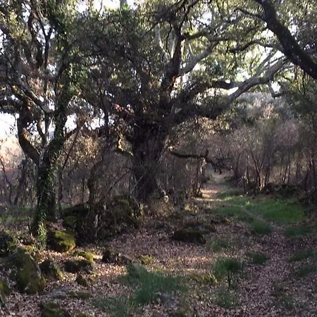 Rominha - Casa Do Rancho * Alvaiázere