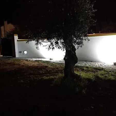 Rominha - Casa Do Rancho