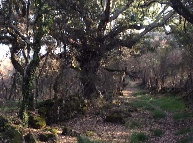 Rominha - Casa Do Rancho * Alvaiázere