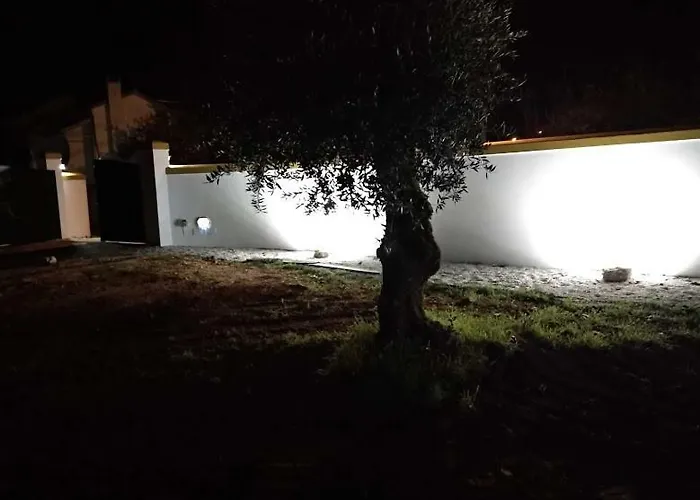 Rominha - Casa Do Rancho